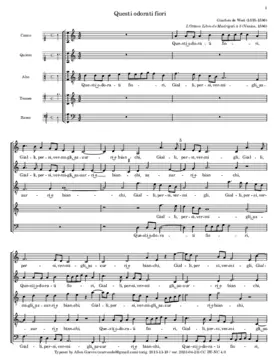 Questi odorati fiori