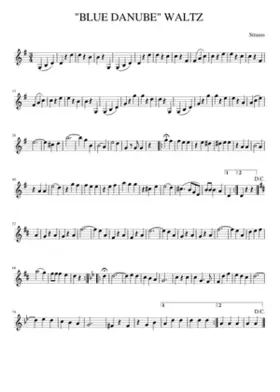 An der schönen blauen Donau Op.314