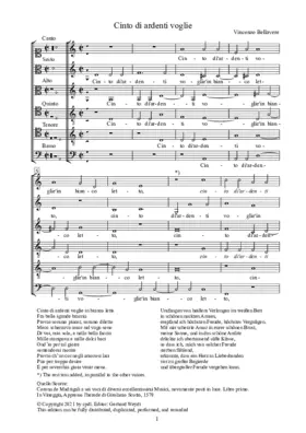 Cinto di ardenti voglie