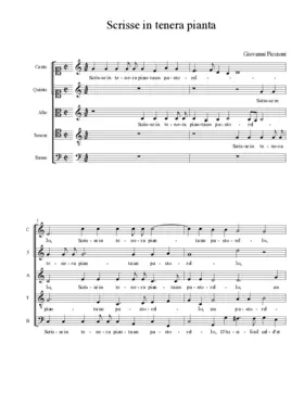 Scrisse in tenera pianta