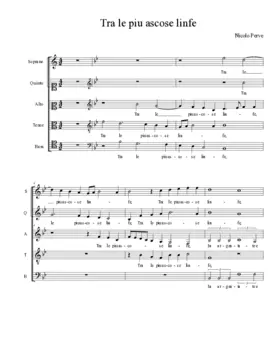 Tra le piu ascose linfe