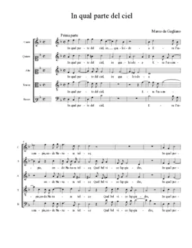 In qual parte del ciel