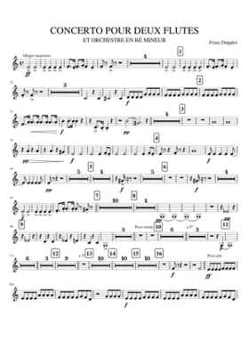 COR2FA. CONCERTO 2 FLUTES