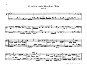 Allein zu dir, Herr Jesu Christ