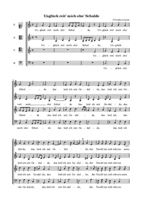 Unglück reit mich ohn Schulde