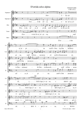 D'orrida selce alpina, SWV 6