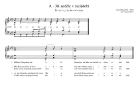 A - 30. neděle v mezidobí
