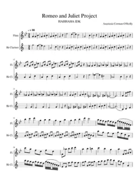 Romeo and Juliet Project