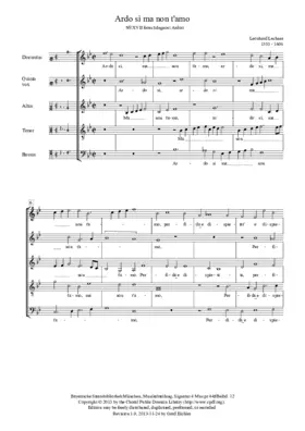 Ardo, sì, ma non t'amo