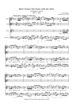 Herr! Schau! Die Seele steht dir offen