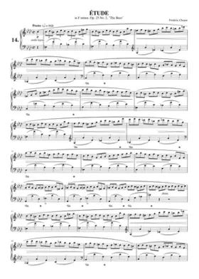 Études Op.25