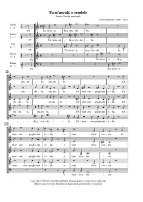 Tu m'uccidi, o crudele