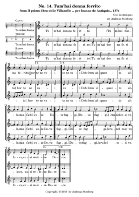 Tu m'hai donna ferito