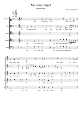 Fui..(seconda parte) Ma come augel