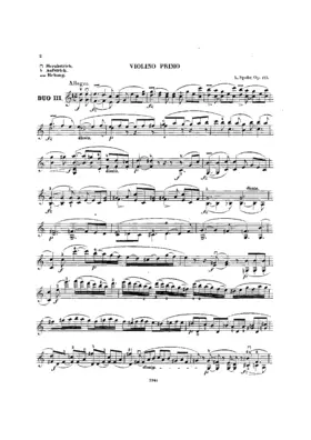 Duo for 2 Violins
