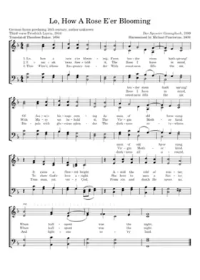 Lo How A Rose E'er Blooming (Es Ist Ein Ros)