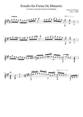 Estudio en forma de Minuetto