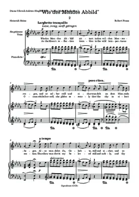 Wie des Mondes Abbild