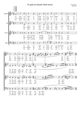 Es geht ein dunkle Wolk herein