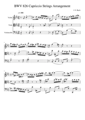 Partita in C minor BWV 826