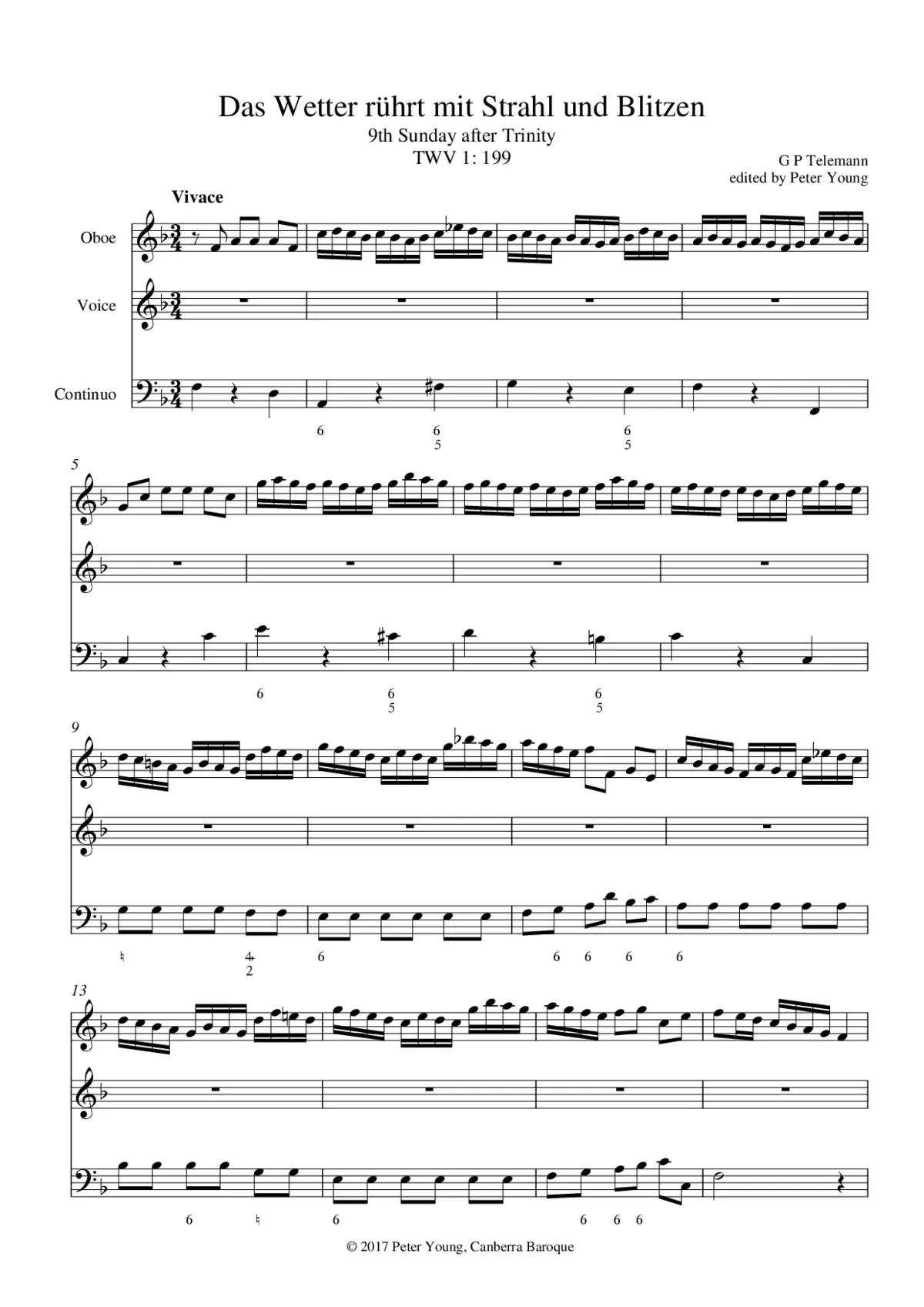 Das Wetter rührt mit Strahl und Blitzen - Page 1