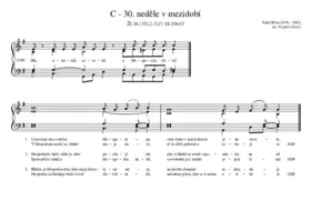 C - 30. neděle v mezidobí