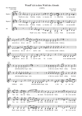 Wandl' ich in dem Wald des Abends