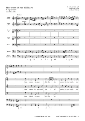 Herr wenn ich nur dich habe