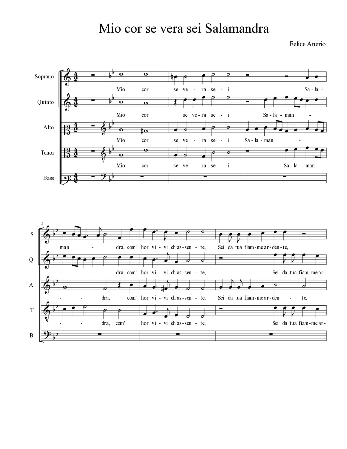 Mio cor se vera sei Salamandra - Page 1