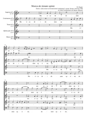 Musica, dei donum optimi
