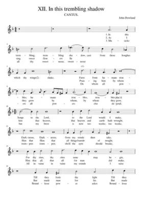 XII. In this trembling shadow