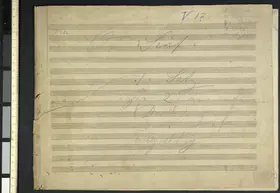 Symphony in D minor 'Annullierte'