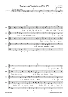 O der grossen Wundertaten, SWV 278