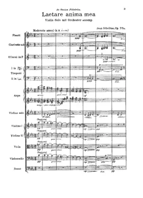 2 Pieces for Violin and Orchestra