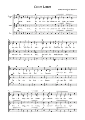 Siehe, das ist Gottes Lamm, HoWV I.2,2