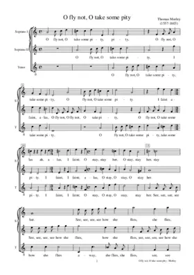 O fly not, O take some pity