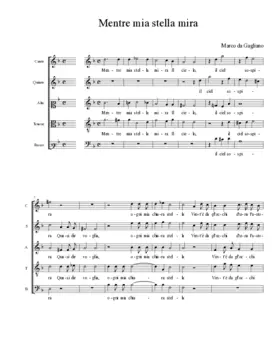 Mentre mia stella mira