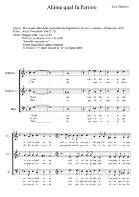 Ahime qual fu l'errore