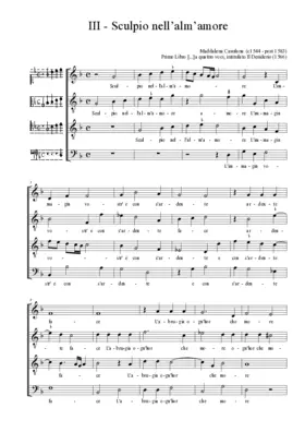 Sculpio nell'alm'amore