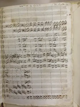 Concerto for 2 Cellos in G minor