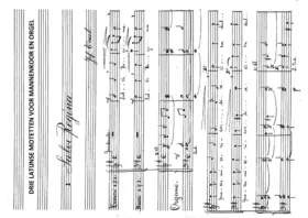 3 Latin motets for male choir and organ