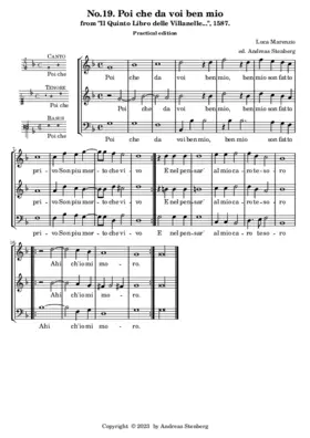 Poi che da voi ben mio