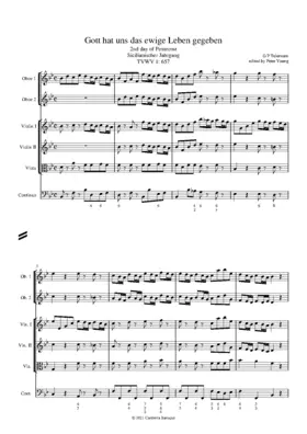 Gott hat uns das ewige Leben gegeben