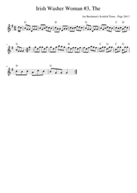 the irish washerwoman