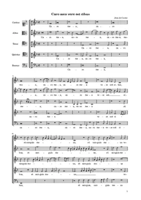 Caro mea vere est cibus