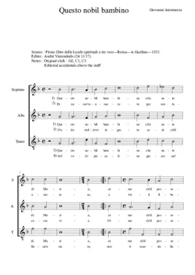 Questo nobil bambino