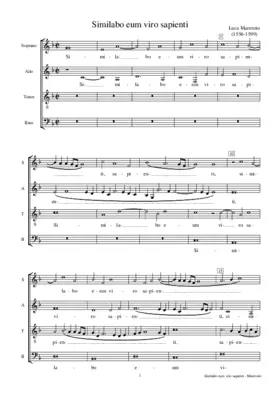 Similabo eum viro sapienti