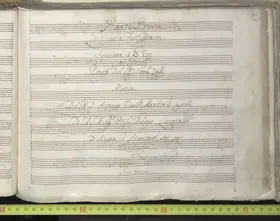 La Sena festeggiante