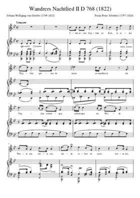 Wandrers Nachtlied D.768
