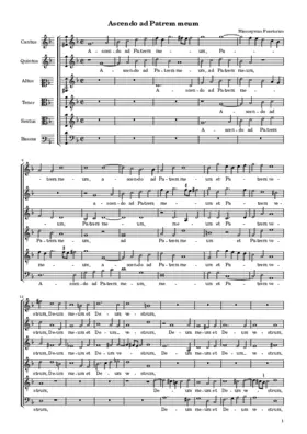 Ascendo ad Patrem meum